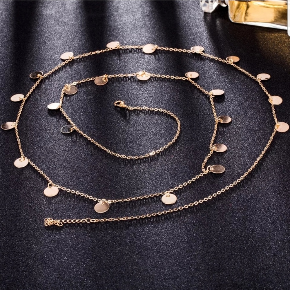 💎[3 for $15]💎 Long Coin Disc Necklace - Picture 5 of 5